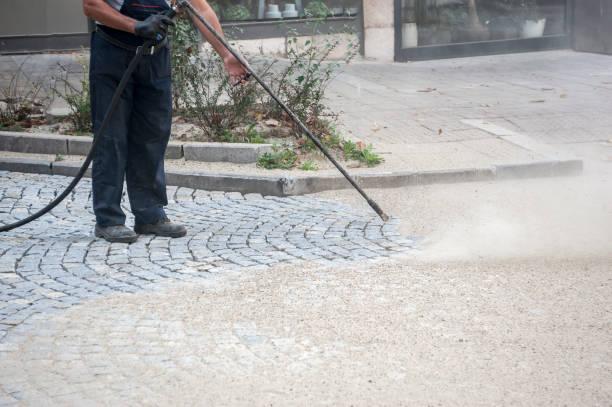 Best Roof Washing  in Sacaton, AZ